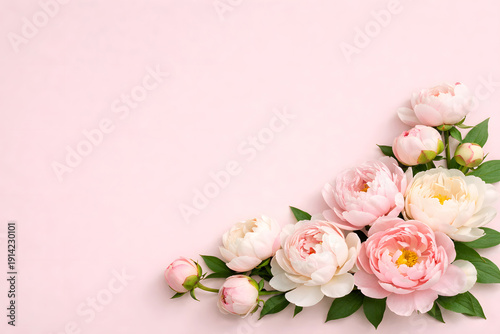 Soft Pink Peony Flowers Corner Border on Pastel Background Copy Space