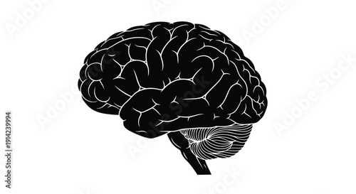 Black silhouette of a human brain with white outline on a plain background