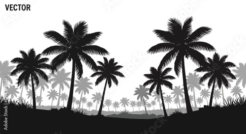 Black silhouette of palm trees on a white background, tropical landscape vector