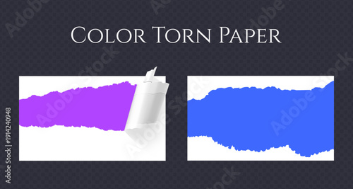 Realistic Torn White Paper Texture with Ripped Edges on Transparent Background