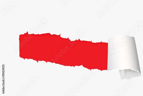 Realistic Torn White Paper Texture with Ripped Edges on Transparent Background