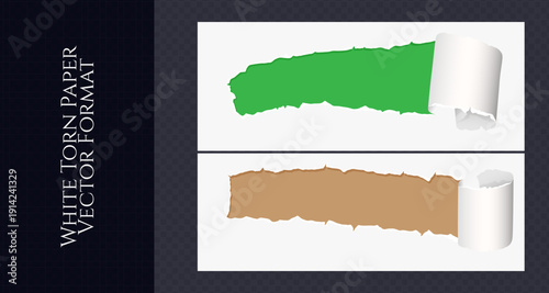 Realistic Torn White Paper Texture with Ripped Edges on Transparent Background