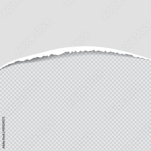 Realistic Torn White Paper Texture with Ripped Edges on Transparent Background