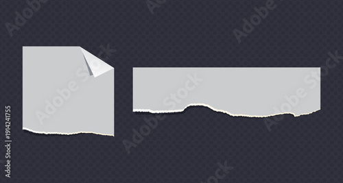 Realistic Torn White Paper Texture with Ripped Edges on Transparent Background