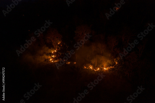 Quadro su tela Aerial view captures a line of active flames and smoke burning through undergrowth in a dense forest at night