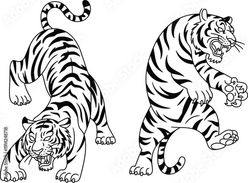 Bold black and white line of two aggressive tigers in dynamic action poses, one lunging forward, the other pouncing with claws extended