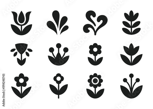 Collection of black and white vector floral designs and patterns