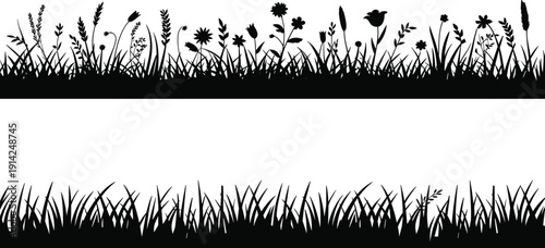 Black silhouette of wild grasses and flowers against a white background creating a natural border for