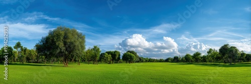 Lush green parkland under bright blue sky with fluffy clouds
