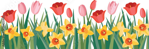 Seamless border of vibrant red tulips and yellow daffodils with green grass, spring or Easter themed