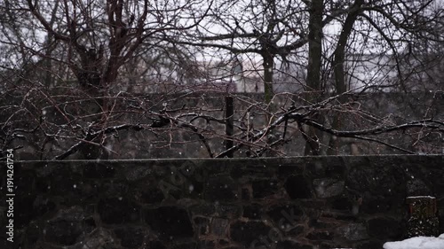 Bare tree branches covered with light snow above stone wall during snowfall. Outdoor winter nature footage in natural environment. Cold weather and winter season concept for design and video.