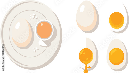 Egg Vector Set with Whole Half Boiled and Yolk Variations Top View Fresh Organic Protein Food for Breakfast and Cooking Design.
