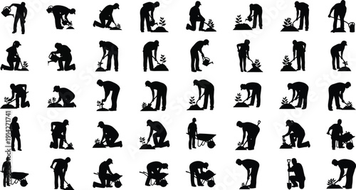 Gardening workers perform various planting.