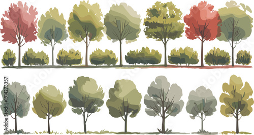 A row of colorful autumn trees with green shrubs in the background and another row of green trees in the foreground