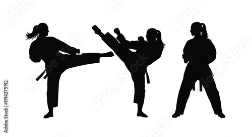 Silhouette of three people practicing martial arts showcasing dynamic kicks