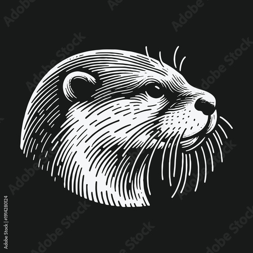 Detailed Line Art Illustration of a Focused Otter Head.