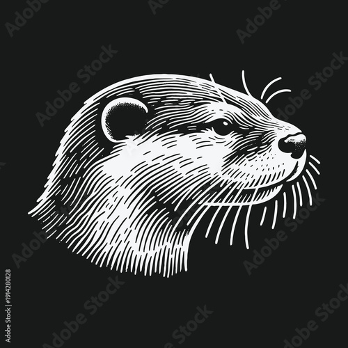 Detailed Engraving of an Otter Head on Black Background.