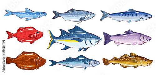 Luxury seafood fish set with tuna, salmon, cod, mackerel, trout, sardine, flatfish. Mediterranean seafood food, healthy diet protein products. Cartoon vector illustration