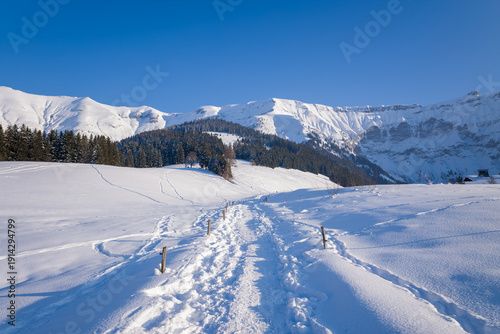 Картината върху платно A sunlit winter path winds through deep snow toward forested slopes and dramatic alpine peaks