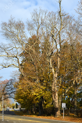 Main Avenue, Setauket in Suffolk County, New York