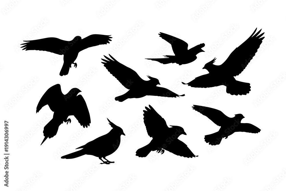 Fototapeta premium High-contrast black silhouettes of crows, ravens, or similar birds in various flight poses. 