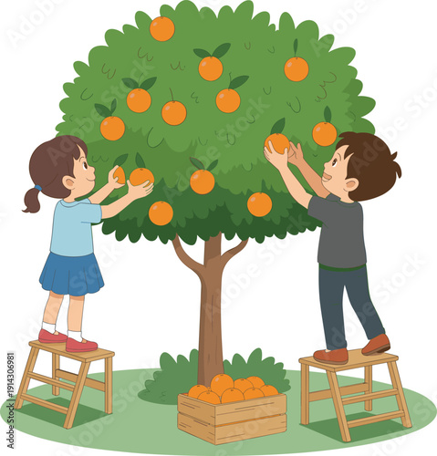 Cartoon vector illustration of a happy young boy and girl standing on wooden stools picking fresh oranges from a green fruit tree.