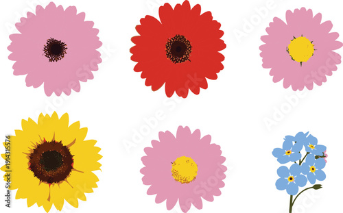 Colorful set of flower heads, pink daisy, red gerbera, yellow sunflower and blue forget me not