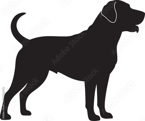 Dog Standing Black Silhouette of a Labrador Retriever