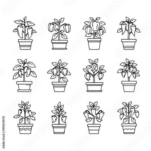 Collection of Bell Pepper Plants in Pots, Line Art Icons