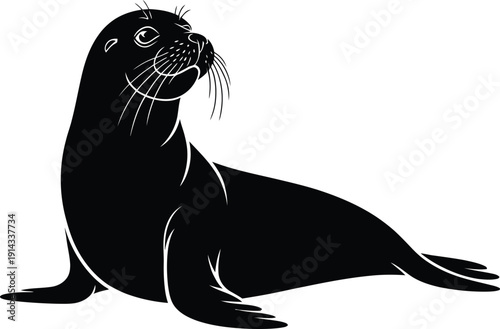 Sea lion or seal silhouette icon, marine mammal wildlife vector illustration isolated on white background.
