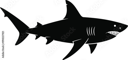 Great white shark silhouette, ocean predator vector illustration isolated on white background