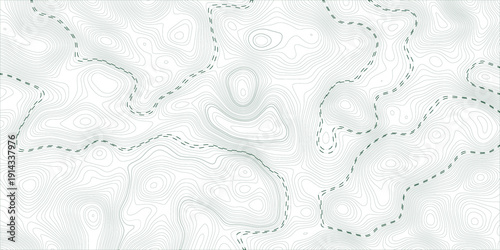Detailed monochrome terrain map with dense contour lines, flowing elevation forms, and subtle 3D relief effect for cartography, geographic backgrounds, and minimal modern design projects