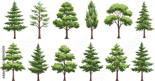 Set of green forest trees illustration, different deciduous and evergreen foliage, natural tree collection, botanical clipart, isolated tree elements, cartoon tree bundle, vector drawing