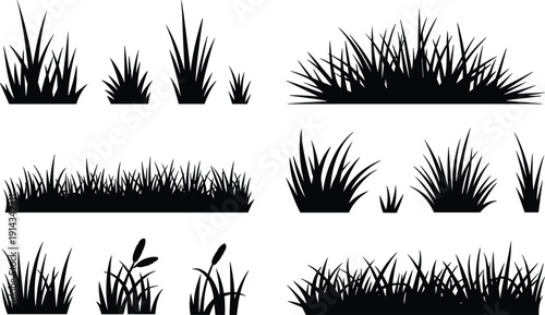 Grass and reed silhouette collection isolated on white background, black meadow border elements for landscaping design, botanical illustration and nature graphics