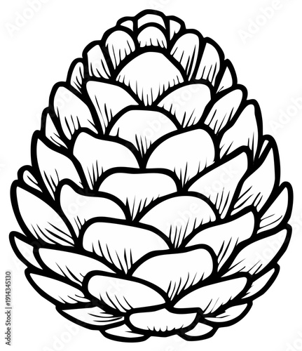 Detailed Pinecone Black and White Icon Vector Illustration for Autumn and Winter Seasons
