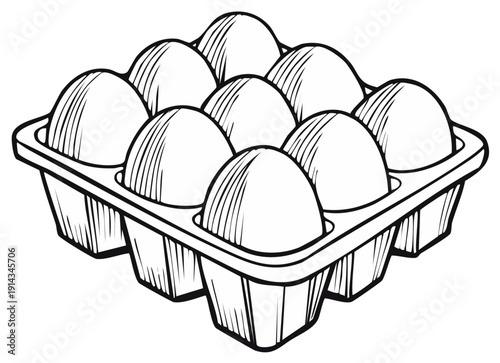 Carton of Fresh Eggs