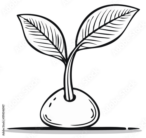 Outline illustration of sprouting seed with two leaves for agriculture and nature designs