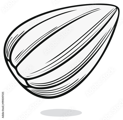 Black and white vector illustration of a single sunflower seed detailed line art sketch for agriculture and food concepts