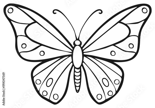 Elegant outline illustration of a butterfly with detailed wing patterns and body features.