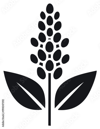 Black glyph of a Quinoa plant with seed head and leaves, nutrition, healthy food ingredient, vegan