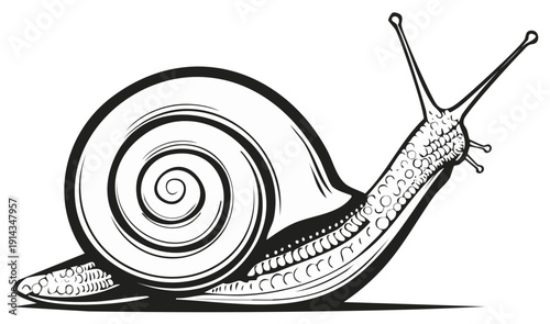 Stylized black and white illustration of a garden snail moving slowly with its spiral shell and antennae extended