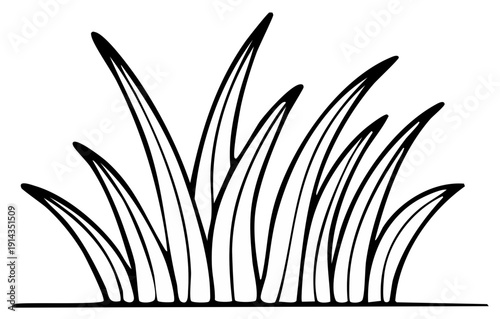 Black and white grass blades graphic. Outline illustration of plant life.