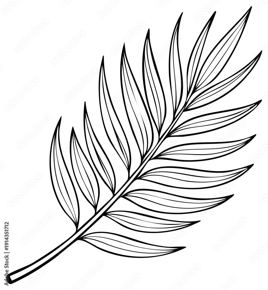 Obraz premium Single palm leaf illustration, simple botanical outline, monochrome foliage element, nature themed vector graphic isolated