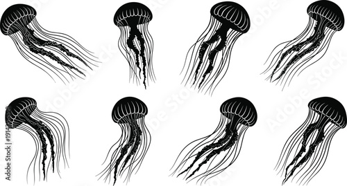 Black jellyfish silhouettes set swimming in ocean water isolated on white background for marine life nature design and nautical patterns.