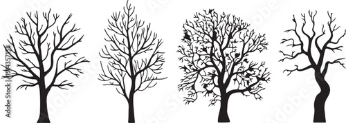 A collection of four distinct bare tree silhouettes stands starkly against a bright white background