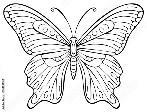 Elegant butterfly with patterned wings line art for coloring book page