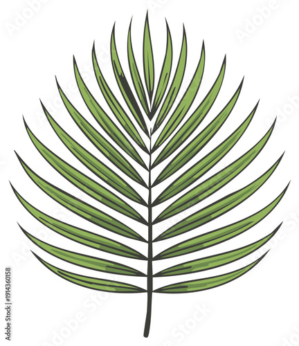 Stylized palm frond illustration in green and brown showcasing detailed vector leaf design against a plain backdrop