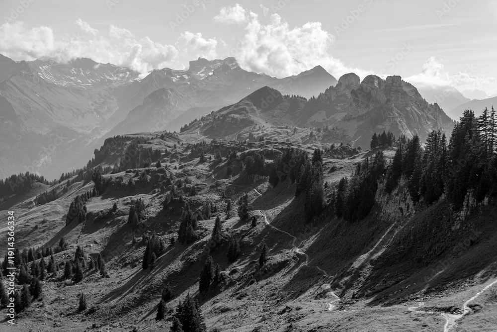 Fototapeta premium Idyllic alpine pasture of the Schynige Platte in the Swiss alps