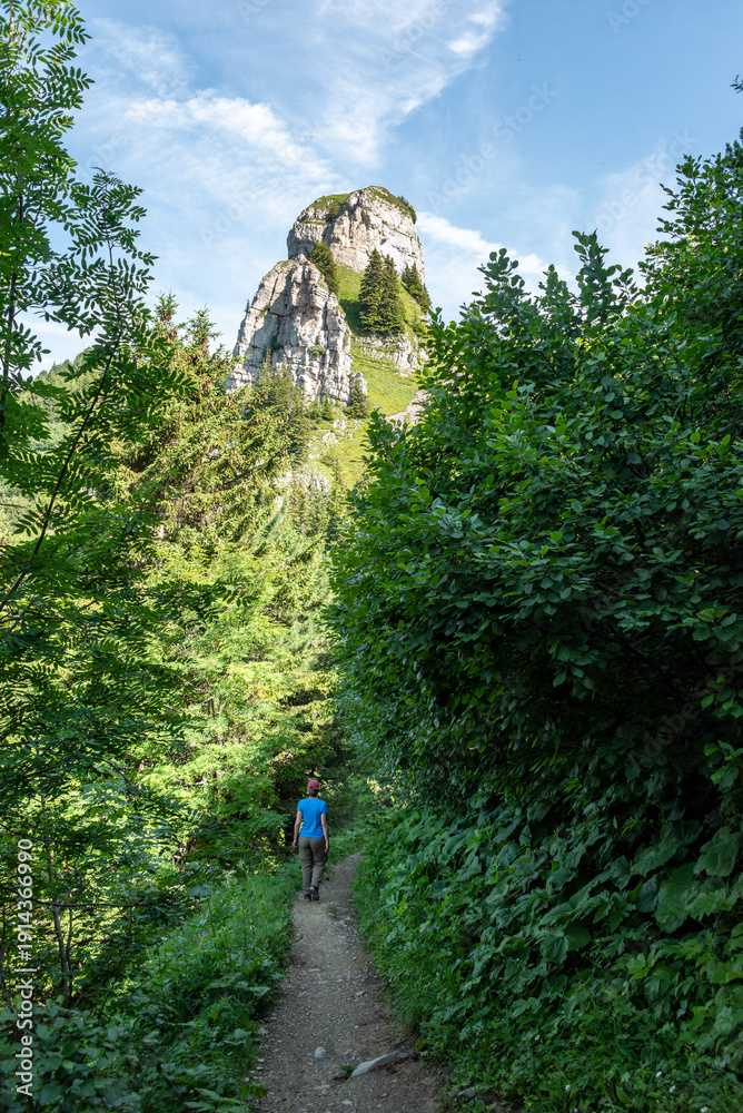 custom made wallpaper toronto digitalA young female tourist hiking through a forest trail at Schynige Platte, the Daube summit in the background
