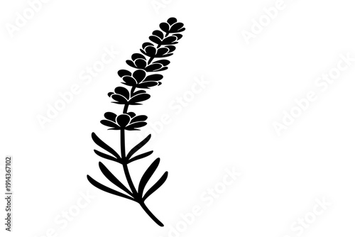 Lavender Sprig Flower Silhouette Vector Icon for Aromatherapy Wellness and Essential Oil Product Packaging